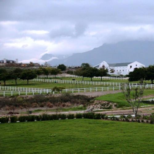 https://capewinefarms.com/static/1007/w_219_11811352_857534577671104_4596508567807200498_n__scale_and_crop__500x500.jpg