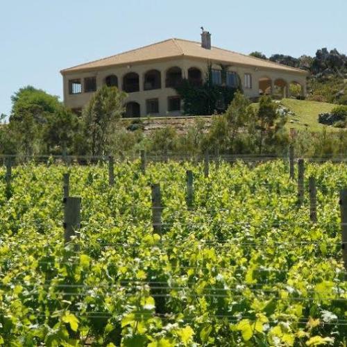 https://capewinefarms.com/static/1054/w_223_1__scale_and_crop__500x500.jpg