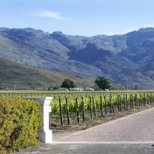 https://capewinefarms.com/static/1150/w_247_4_0__scale_and_crop__500x500.jpg