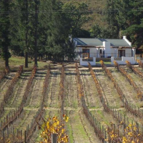 https://capewinefarms.com/static/1167/w_253_1a_0__scale_and_crop__500x500.jpg