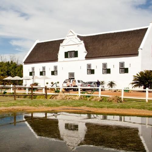 https://capewinefarms.com/static/1250/w_279_d93ede4b574e4ecc8b4a4e32d3abe0c6__scale_and_crop__500x500.jpg