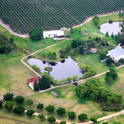 https://capewinefarms.com/static/1266/w_282_889ae8d4782d425b8e468c244dad346a__scale_and_crop__500x500.jpg