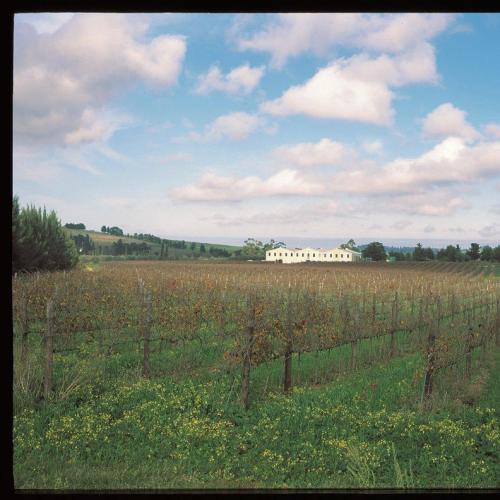 https://capewinefarms.com/static/1275/w_283_602973_130558843774704_2103867606_n__scale_and_crop__500x500.jpg
