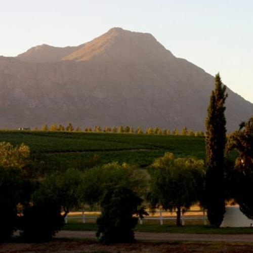 https://capewinefarms.com/static/1443/w_357_74098_109077679158570_1853479_n__scale_and_crop__500x500.jpg