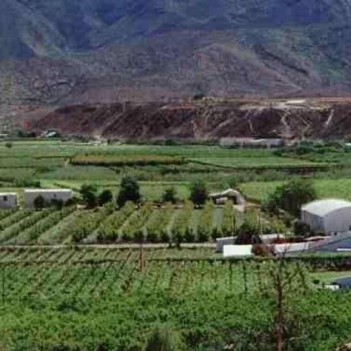 https://capewinefarms.com/static/1583/w_379_4b560aa8233d4cd6b9665bb54cef1c74__scale_and_crop__500x500.jpg