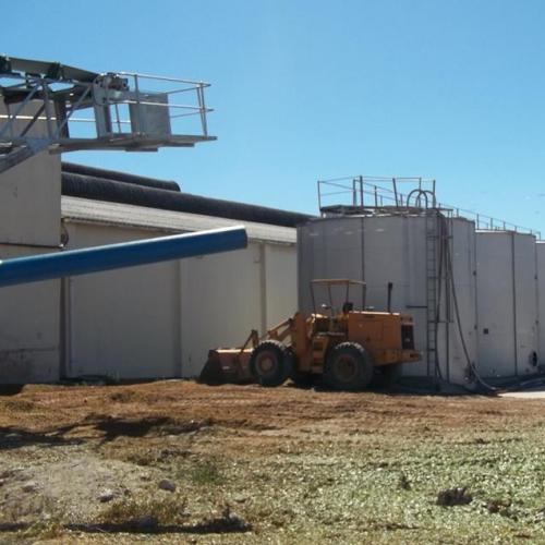 https://capewinefarms.com/static/1592/w_389_10986970_713876692044815_7380961717286543175_n__scale_and_crop__500x500.jpg