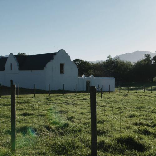 https://capewinefarms.com/static/1597/w_393_1410188764home3__scale_and_crop__500x500.jpg