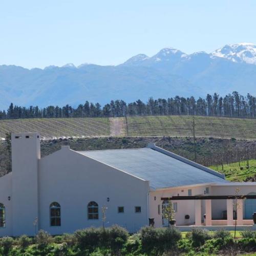 https://capewinefarms.com/static/1704/w_427_11796454_739836869472048_5436741580719463432_n__scale_and_crop__500x500.jpg