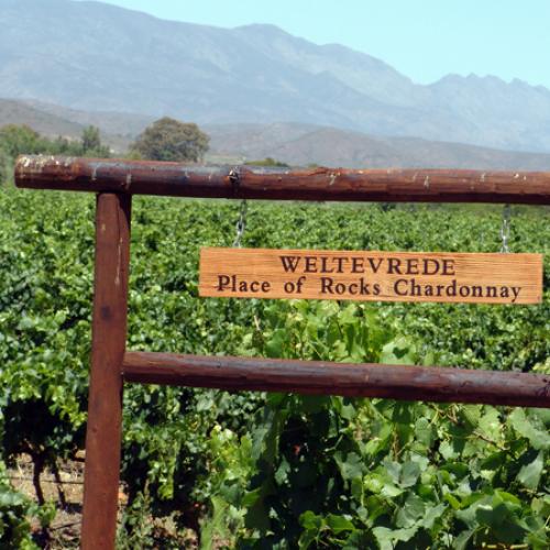 https://capewinefarms.com/static/1769/w_573_23_mei_chardb_0__scale_and_crop__500x500.jpg
