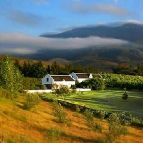 https://capewinefarms.com/static/1798/w_576_unnamed_1__scale_and_crop__500x500.jpg