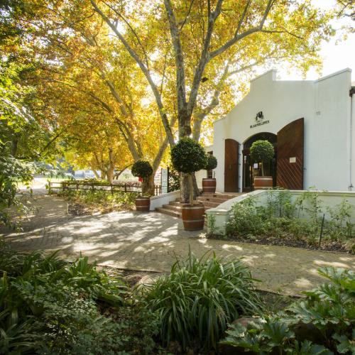 https://capewinefarms.com/static/1827/w_677_aboutus__scale_and_crop__500x500.jpg