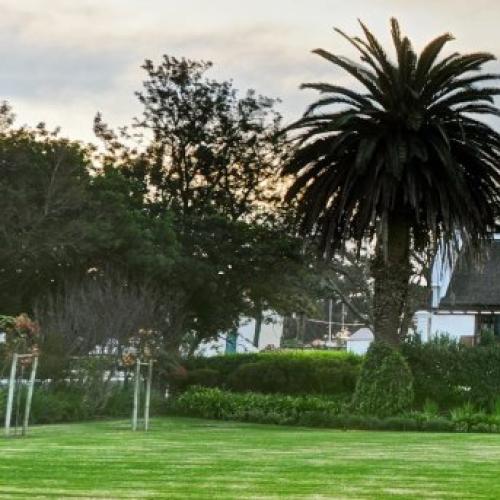 https://capewinefarms.com/static/1859/w_691_28993_521035511268977_1807270860_n__scale_and_crop__500x500.jpg