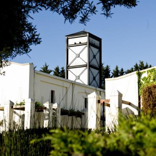 https://capewinefarms.com/static/1927/w_704_149_cropped_1200_630_90_5343ec66286e0__dsc6575__scale_and_crop__500x500.jpg