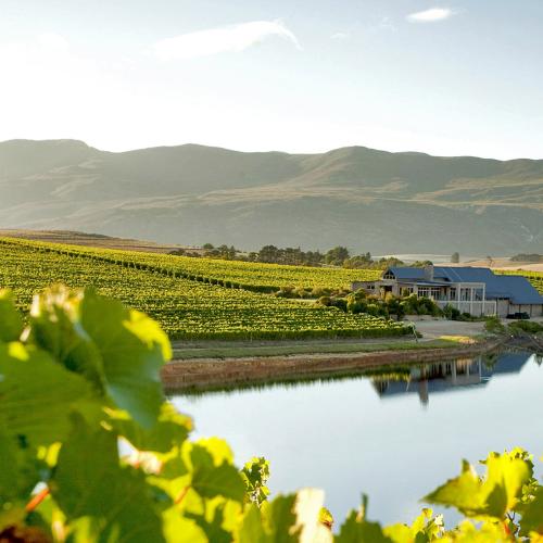 https://capewinefarms.com/static/1948/w_709_house__scale_and_crop__500x500.jpg