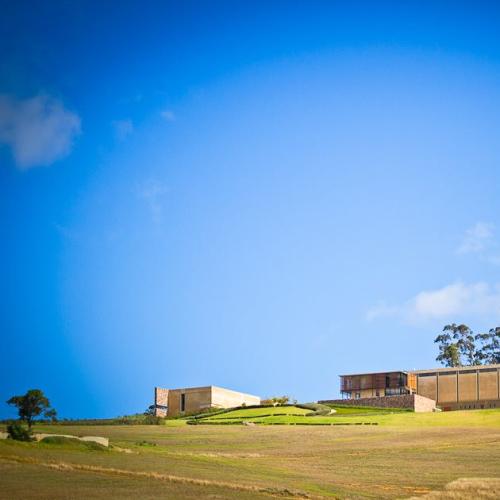 https://capewinefarms.com/static/2068/w_757_cellar__scale_and_crop__500x500.jpg