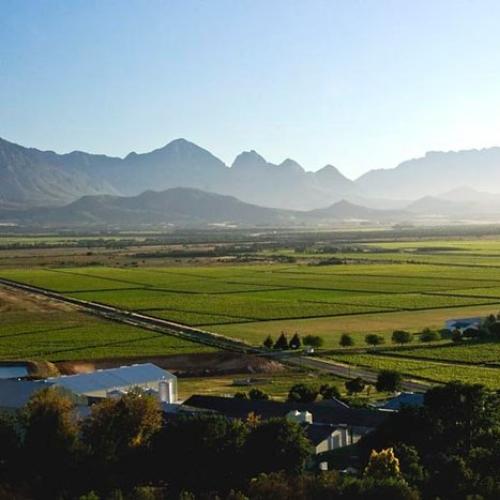 https://capewinefarms.com/static/2090/w_761_73250_461346674549_4028547_n__scale_and_crop__500x500.jpg