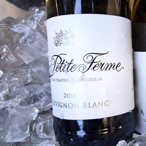 https://capewinefarms.com/static/2231/w_802_15110297_1369051796451919_7156238657330932492_o__scale_and_crop__500x500.jpg