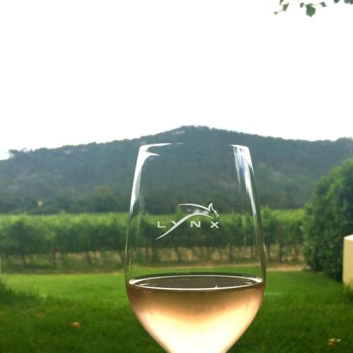 https://capewinefarms.com/static/2239/w_804_11133841_827610803960450_2201461469268968058_n__scale_and_crop__500x500.jpg