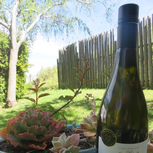 https://capewinefarms.com/static/2321/w_823_14671301_704172279751880_723059379208779031_n__scale_and_crop__500x500.jpg