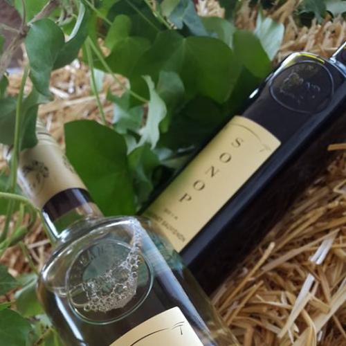 https://capewinefarms.com/static/2394/w_842_12289485_972668756146744_6918909659124289044_n__scale_and_crop__500x500.jpg