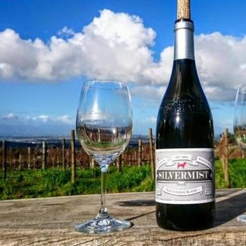 https://capewinefarms.com/static/2466/w_866_silvermistmountainlodgewineestatewine590x390__scale_and_crop__500x500.jpg