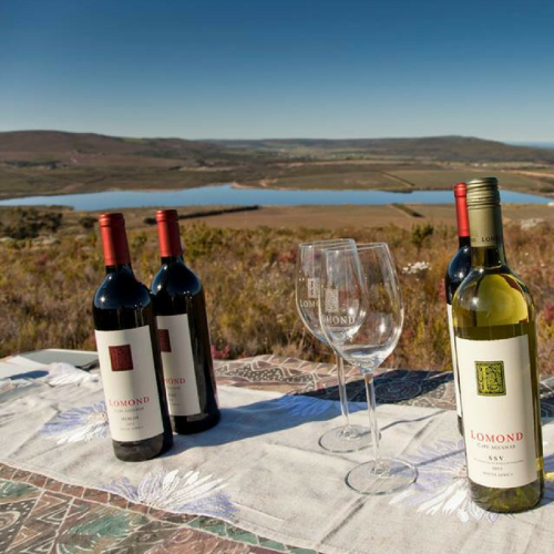https://capewinefarms.com/static/2478/w_877_15241948_1293282554046363_7068197985530302318_n__scale_and_crop__500x500.png