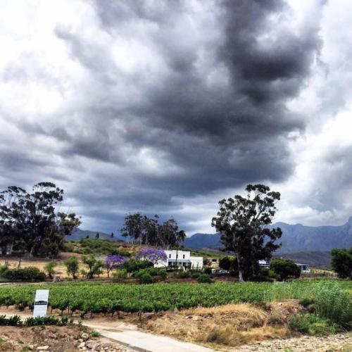 https://capewinefarms.com/static/2498/w_881_15349824_1199017326802053_8806565247787949943_n__scale_and_crop__500x500.jpg