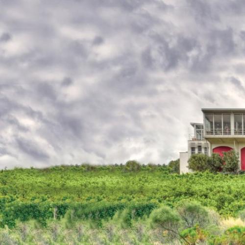 https://capewinefarms.com/static/262/w_13_picture_la_vierge_cellar_2__scale_and_crop__500x500.jpg