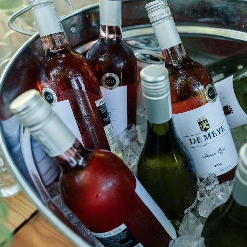 https://capewinefarms.com/static/2652/w_952_16143860_10154044636031809_3345607178094314007_o__scale_and_crop__500x500.jpg