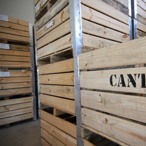 https://capewinefarms.com/static/2689/w_1027_casto_1207__scale_and_crop__500x500.jpg