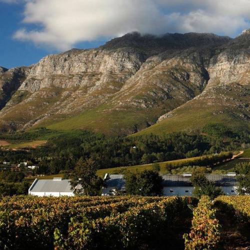 https://capewinefarms.com/static/2720/w_1112_15622089_1330447120361445_5516632030089912936_n__scale_and_crop__500x500.jpg