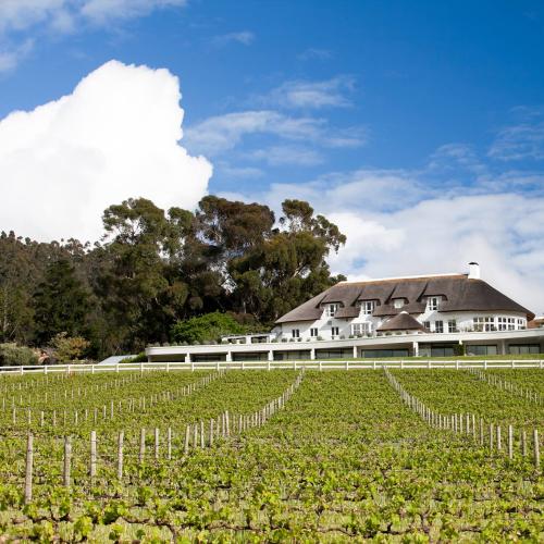 https://capewinefarms.com/static/283/w_17_10710502_796646760379077_3974113502656253862_o__scale_and_crop__500x500.jpg