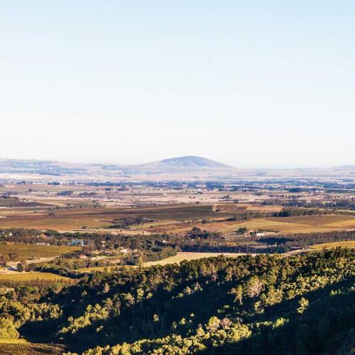 https://capewinefarms.com/static/2843/w_1210_home__scale_and_crop__500x500.jpg