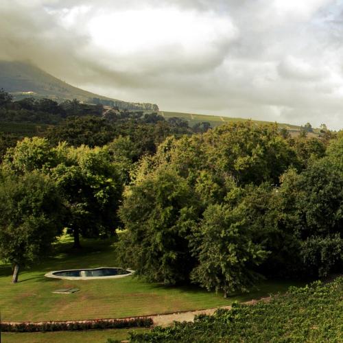 https://capewinefarms.com/static/2849/w_1212_rv_aerialfront1__scale_and_crop__500x500.jpg