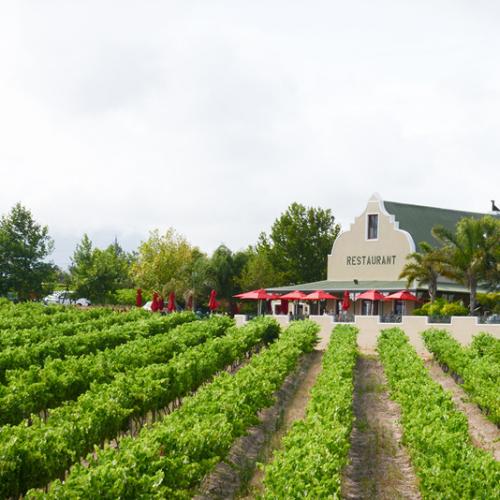 https://capewinefarms.com/static/2858/w_1215_restaurant_home2__scale_and_crop__500x500.jpg