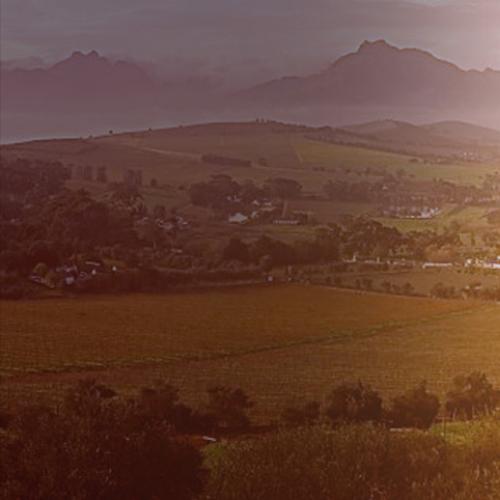 https://capewinefarms.com/static/2871/w_1218_front_banner__scale_and_crop__500x500.jpg