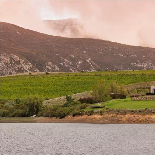 https://capewinefarms.com/static/2925/w_1237_top_image__scale_and_crop__500x500.jpg