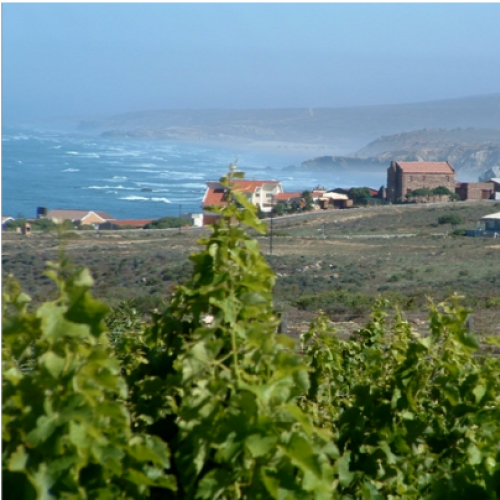 https://capewinefarms.com/static/3012/w_1269_obj139geo78pg2p36__scale_and_crop__500x500.png