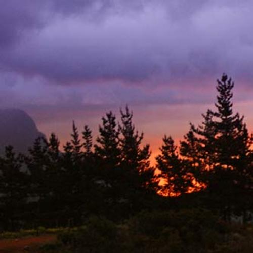 https://capewinefarms.com/static/3027/w_1275_slide_photo1__scale_and_crop__500x500.jpg