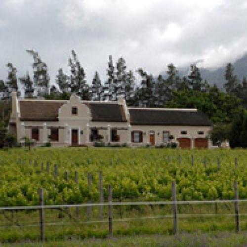 https://capewinefarms.com/static/3036/w_1283_2_0__scale_and_crop__500x500.jpg