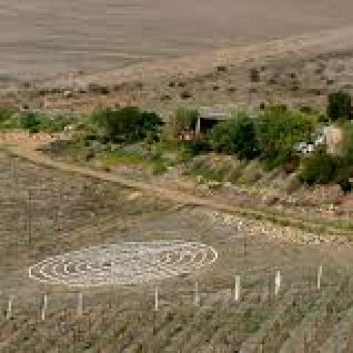 https://capewinefarms.com/static/3051/w_1288_images__scale_and_crop__500x500.jpg