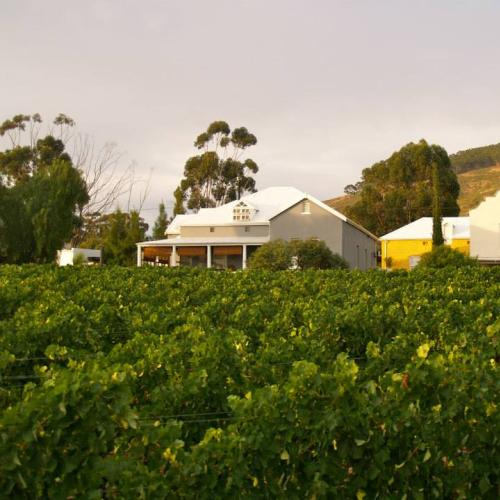 https://capewinefarms.com/static/327/w_26_1901208_210908279104533_461773354_n__scale_and_crop__500x500.jpg