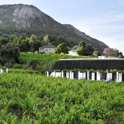 https://capewinefarms.com/static/351/w_31_slide61__scale_and_crop__500x500.jpg