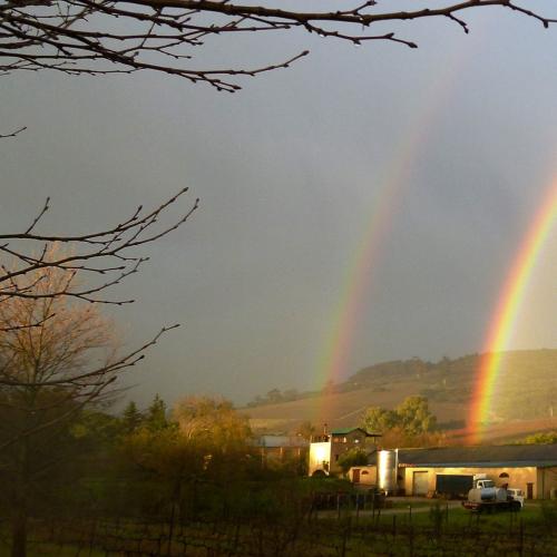 https://capewinefarms.com/static/453/w_65_10548103_863394333689066_5814647666444178070_o__scale_and_crop__500x500.jpg