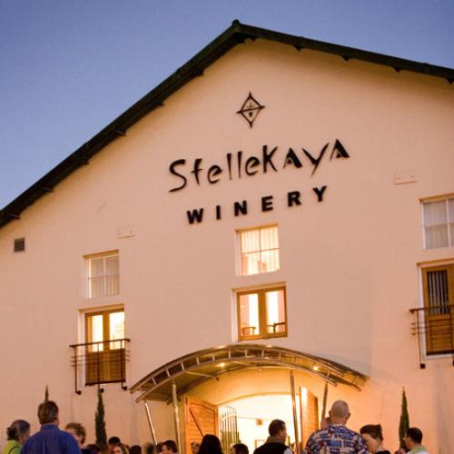 https://capewinefarms.com/static/477/w_69_stellekaya__scale_and_crop__500x500.jpg