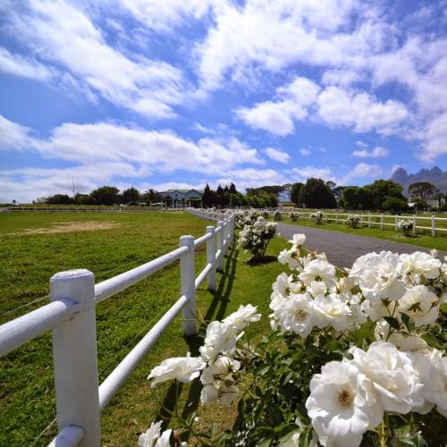 https://capewinefarms.com/static/501/w_94_1617106_811193018938322_4237715820268779325_o_0__scale_and_crop__500x500.jpg
