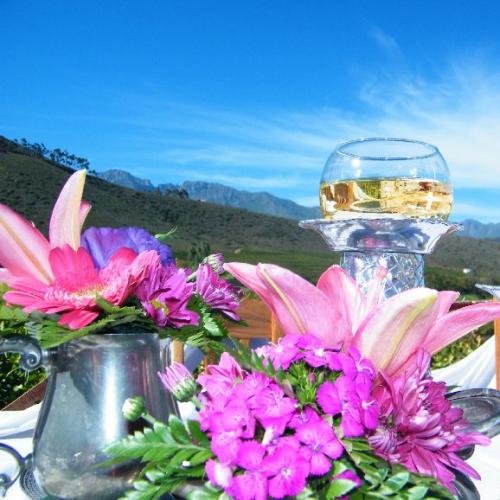 https://capewinefarms.com/static/601/w_107_dscf3435__scale_and_crop__500x500.jpg