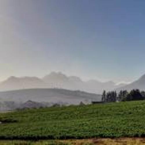 https://capewinefarms.com/static/775/w_168_10501707_667404286663392_5138787354030966346_n__scale_and_crop__500x500.jpg