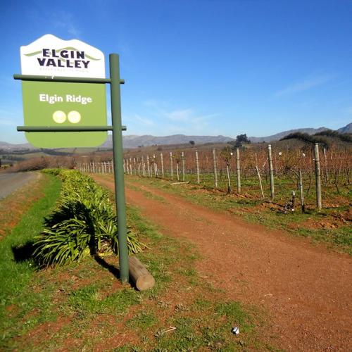 https://capewinefarms.com/static/780/w_169_er111111111111111111111111__scale_and_crop__500x500.jpg