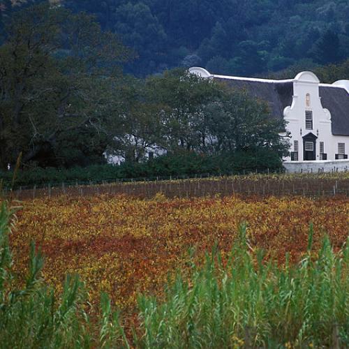 https://capewinefarms.com/static/843/w_181_gc2__scale_and_crop__500x500.jpg